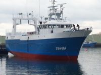Txori Hiru