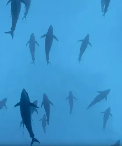 Prácticas sostenibles